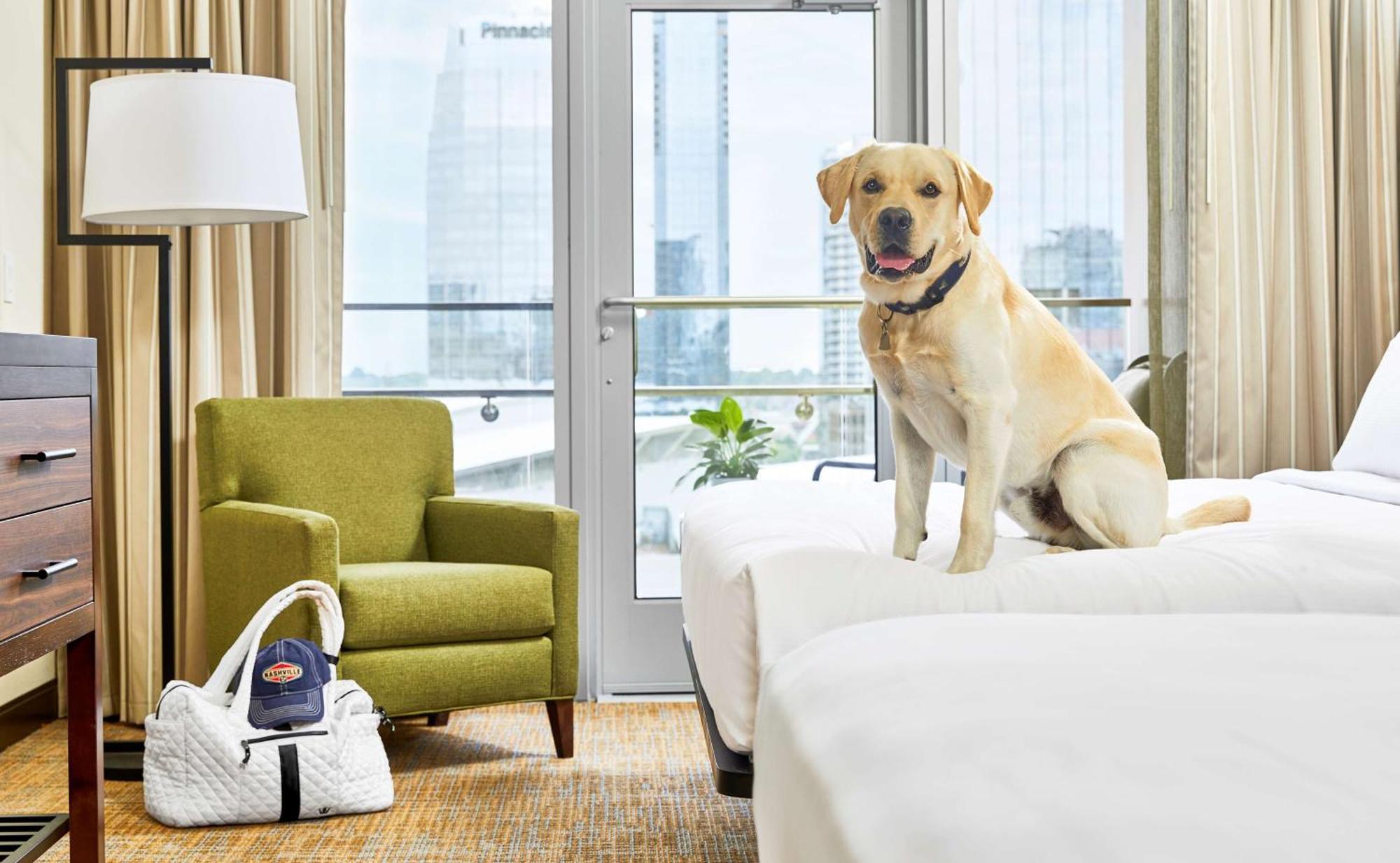 Embassy Suites By Hilton Nashville Downtown Esterno foto